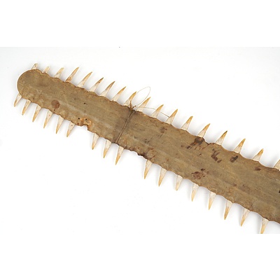 Large Vintage Sawfish Rostrum with Most Teeth Intact