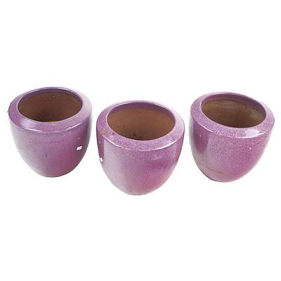 Three Purple Glazed Garden Pots