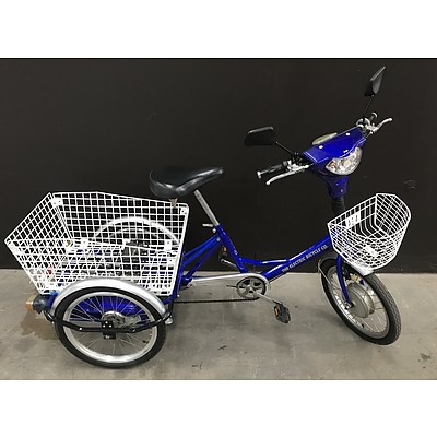 The Electric Bicycle Co. Electric Trike