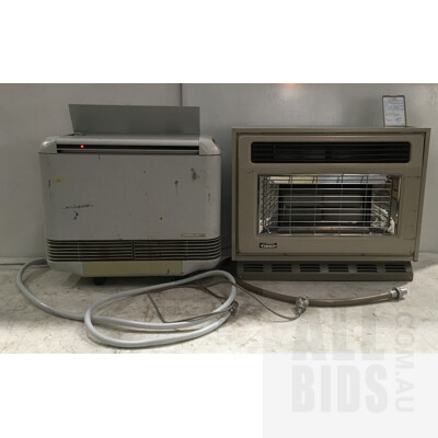 Bowin SLE1 Natural Gas Heater And Rinnai Propane Gas Heater