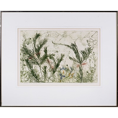 Edith Cowlishaw (born 1924), Scrubby Gum, Etching & Hakea and Iris, Woodcut, largest 50 x 20 cm (2)