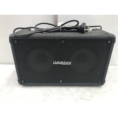 Livingstone 30W Amplifier