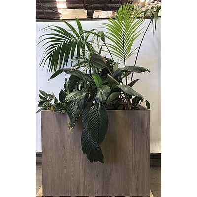 Custom Timber Planter Box With 7 Plants
