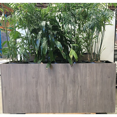 Custom Timber Planter Box With 5 Plants