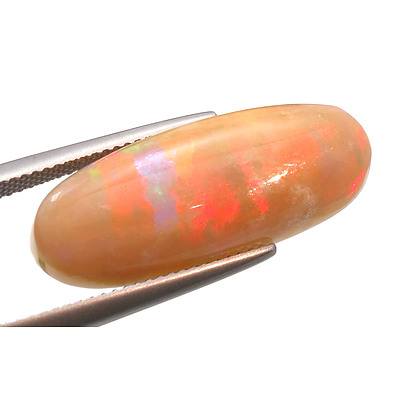 Australian Solid Opal - Andamooka Origin