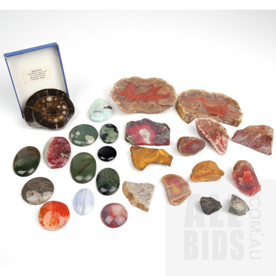 Collection of Semi Precious Stone Specimens, Some made as Pendants and an Ammonite Fossil Specimen
