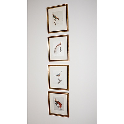 Four Miniature Prints of Birds, On Linen
