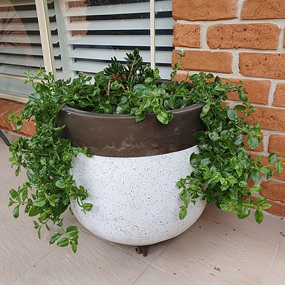 Pair of Painted Composite Garden Planters