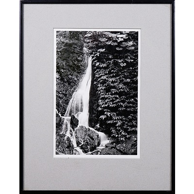 Rob Gray, Final Cascade (Kondalilla National Park, QLD), Black & White Photograph, 23 x 14 cm
