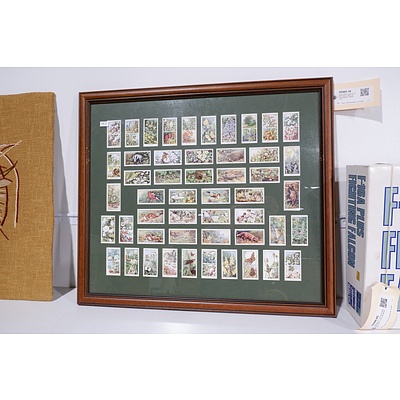 Double Sided Framed Set of 50 W.D & H.O. Wills 'Life in the Hedgerow' Cigarette cards