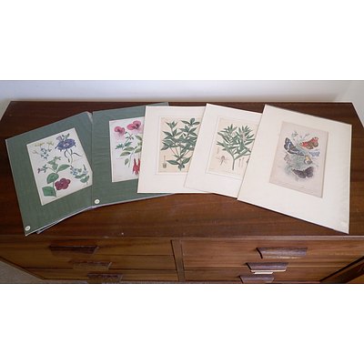 Collection Antiquarian Botanical Hand Coloured Bookplates, J & Parkin, Swan, J Bishop and More