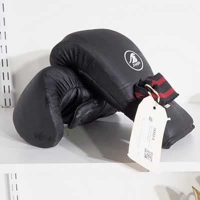 Pair of Bushido Black Vinyl Martial Arts Gloves