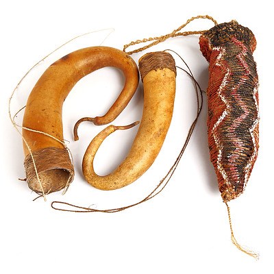 Two Pacific Island Penis Gourds and  Hand Woven and Decorated Penis Sheath