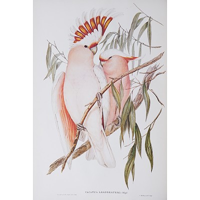 John Gould, Birds of Australia Volume V, Lansdowne Press, Melbourne, 1975, Limited Edition Facsimile Edition, Full Leather Bound with Gilt embossing to Spine