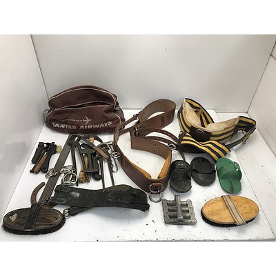 Lot Of Assorted Horse Care Accessories