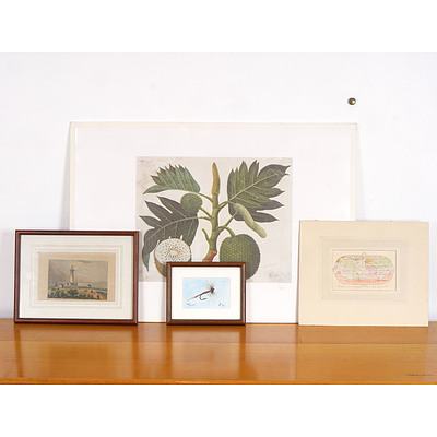 Limited Edition Botanical Lithograph, 85/100, Chris Hole Watercolour, Hand Coloured World Map and More
