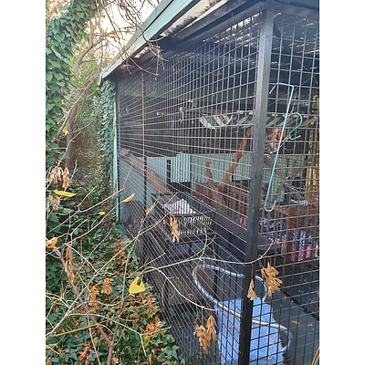 Large Thick Wire Mesh Cattery, Number Two
