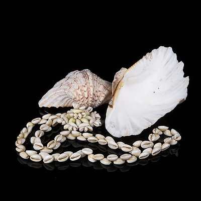 Two Clam Shell and a Vintage Shell Necklace