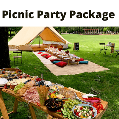 L19 - Picnic Party Package