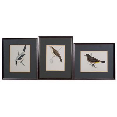 Three Framed Hand Coloured Bookplates of Birds (3)
