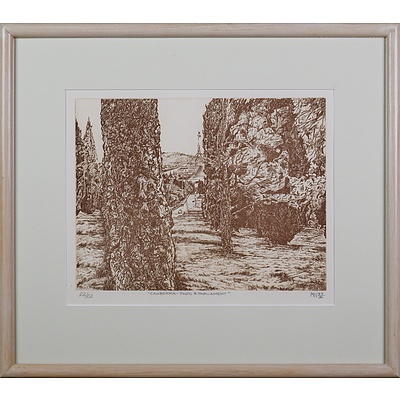 Michael Winters (born 1943), Canberra - Pines and Parliament 1993, Etching, Edition 22/22, 24.5 x 31.5 cm (image size)