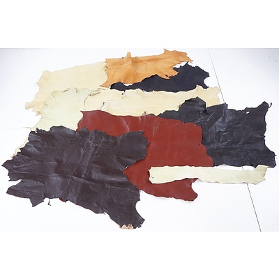 Seven Pieces of Vintage Tanned Leather in Various Sizes and Colours, Including Myer and Kromo 