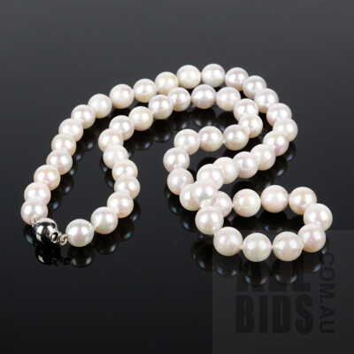 Strand of Cultured Pearls, Round White with Very Good Lustre