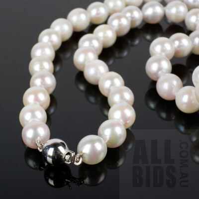 Strand of Cultured Pearls, Round White with Very Good Lustre