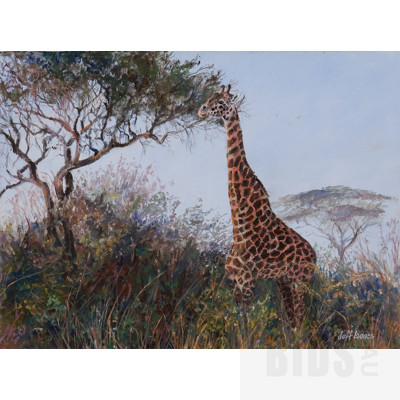 Jeff Isaacs (born 1936), Giraffe, Oil on Canvas, 30 x 40 cm