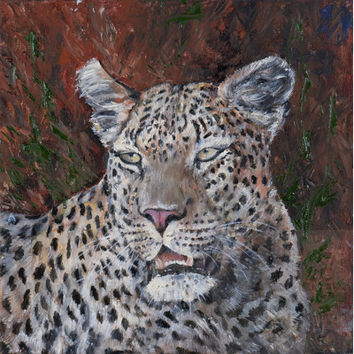 Jeff Isaacs (born 1936), Leopard, Oil on Canvas, 30 x 30 cm