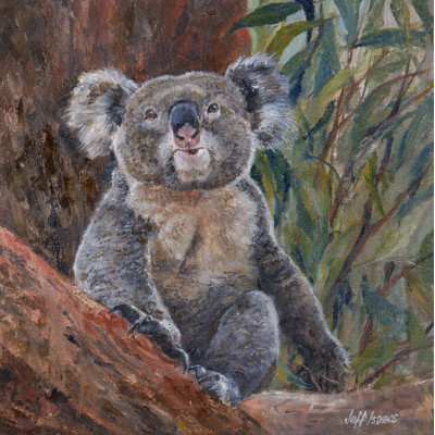 Jeff Isaacs (born 1936), Koala, Oil on Canvas, 30 x 30 cm