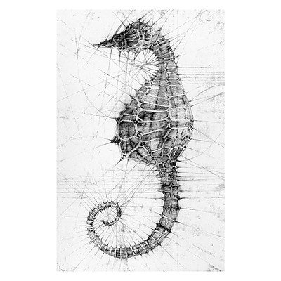 L7 - Linear Qualities of the Seahorse by Melissa Lockley