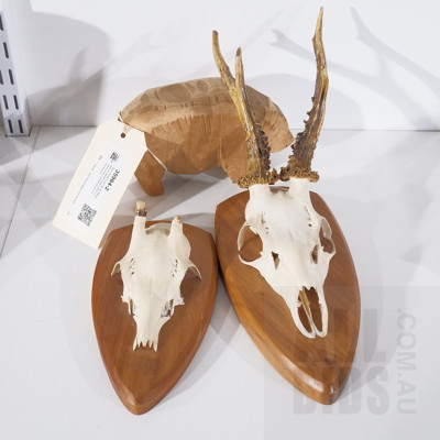 Two Small Goat Skulls Mounted on Board and a 20th Century Fox Carved Souvenir Animal (3)
