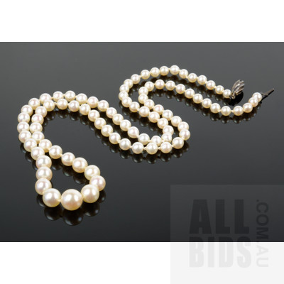 Strand of Cultured Akoya Type Pearls, Creamy White with Very Good Lustre