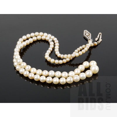 Strand of Cultured Akoya Type Pearls, Cream with Good Lustre
