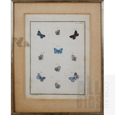 Three Framed Antique Hand-Coloured Prints of Butterflies (3)