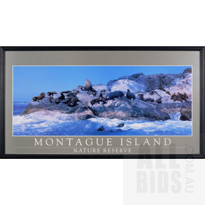 Framed Reproduction Print Titled Montague Island