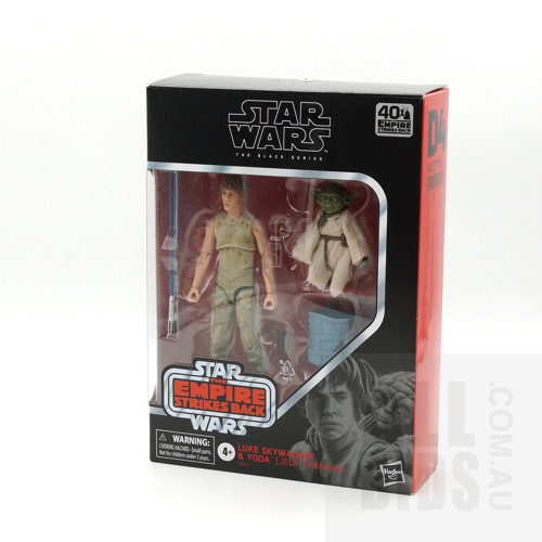 Boxed 2020 Hasbro Star Wars The Black Series Luke Skywalker and Yoda (Jedi Training)