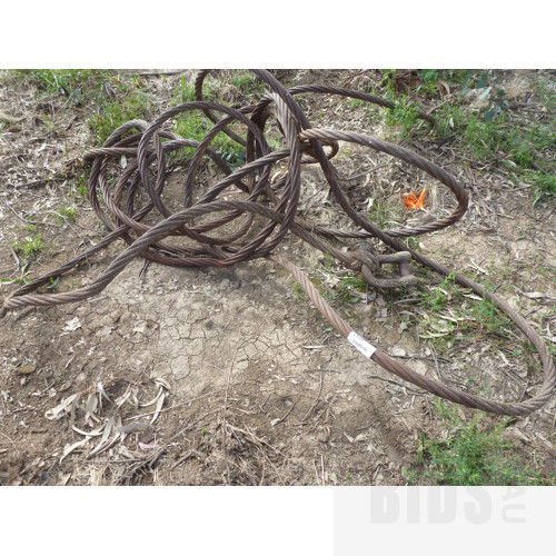 35mm Steel Cable With Shackle