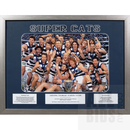 Framed Geelong Cats 2009 Premiership Winning Team Photo
