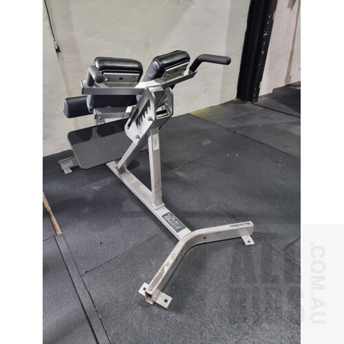 Hammer Strength Back Extension (BWBE) Station