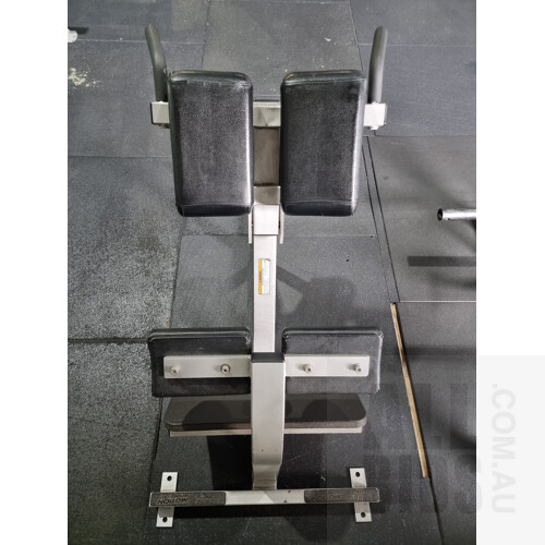 Hammer Strength Back Extension (BWBE) Station