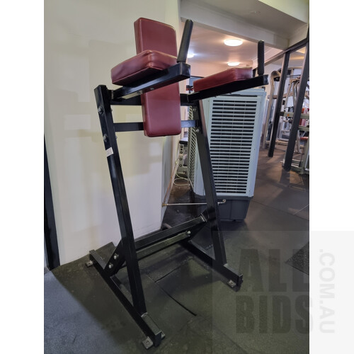 Hammer Strength (Copy) Leg Raise Station