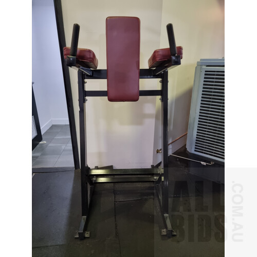 Hammer Strength (Copy) Leg Raise Station