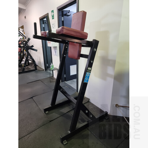 Hammer Strength (Copy) Leg Raise Station