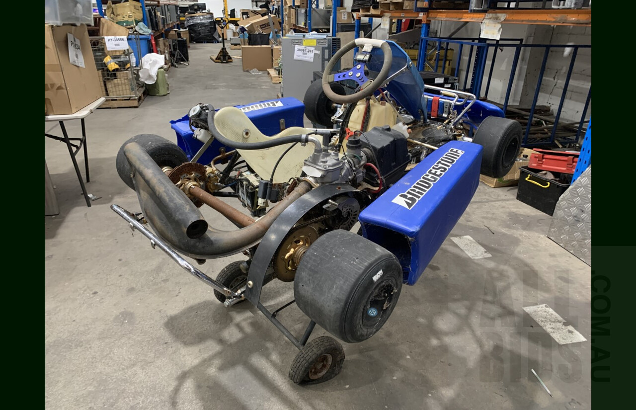 Adult Go kart  Frame With Rotax 124cc 2-Stroke Motor - For Restoration