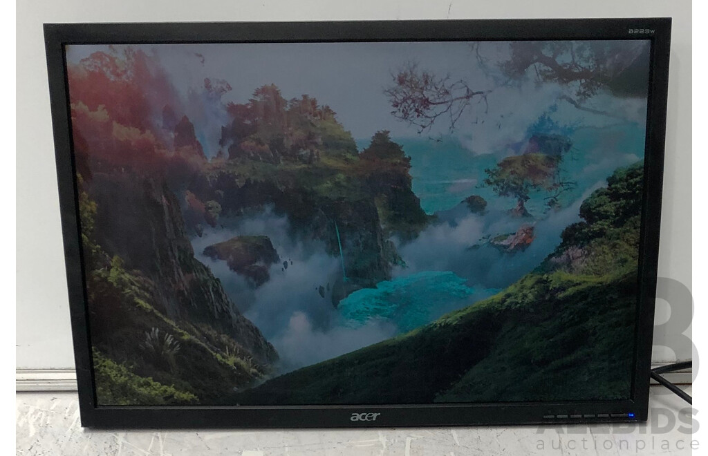 Acer (B223W) 22-Inch Widescreen LED-Backlit LCD Monitor - Lot of Two