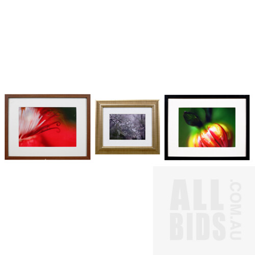 Three Framed Offset Prints, Largest 30 x 40 cm (3)