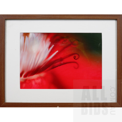 Three Framed Offset Prints, Largest 30 x 40 cm (3)