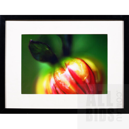 Three Framed Offset Prints, Largest 30 x 40 cm (3)